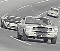 Daytona, FL, 1966. Privately owned Shelby GT350 Mustang driven by Roger West/Richard Macon. 